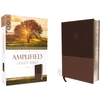 KNYGA Bookshop Zondervan Amplified Study Bible, Leathersoft, Brown