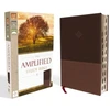 KNYGA Bookshop Amplified Study Bible, Leathersoft, Brown, Thumb Indexed