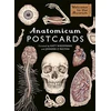 KNYGA Bookshop Anatomicum Postcard Box