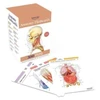 KNYGA Bookshop Anatomy Flashcards: 300 Flashcards with Anatomically Precise Drawings and Exhaustive Descriptions