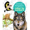 KNYGA Bookshop Animal Kingdom Colour by Numbers