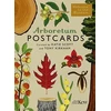 KNYGA Bookshop Arboretum Postcards