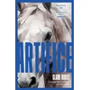 KNYGA Bookshop Artifice
