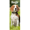 KNYGA Bookshop Beagle Slim 2026 Wall Calendar Calendar 2024 Dog Breed Slimline Calendar - 12 Month