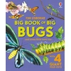 KNYGA Bookshop Big Book of Big Bugs