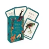 KNYGA Bookshop Birds of the World
