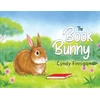 KNYGA Bookshop Book Bunny