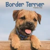 KNYGA Bookshop Border Terrier Puppies Square Mini Calen