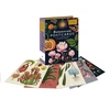 KNYGA Bookshop Willis Kathy Botanicum Postcards