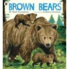 KNYGA Bookshop Brown Bears