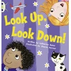 KNYGA Bookshop Bug Club Guided Fiction Reception Rožinė A Look Up, Look Down
