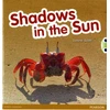 KNYGA Bookshop Bug Club Guided Non Fiction Reception Raudona C Shadows in the Sun