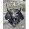 KNYGA Bookshop Bug Club Guided Non Fiction Year Two Gold A Fossils