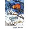 KNYGA Bookshop Bug Club Independent Fiction Year 3 Brown A Come Down, Golden