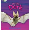 KNYGA Bookshop Bug Club Phonics - Phase 3 Unit 10: In the Dark