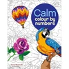 KNYGA Bookshop Calm Colour by Numbers