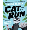 KNYGA Bookshop Cat on the Run (Episode 2)