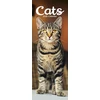 KNYGA Bookshop Cats Slim Calendar 2026 Cute Slimline Calendar - 12 Month