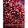 KNYGA Bookshop Chrysanthemums