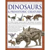 KNYGA Bookshop Complete Illustrated Encyclopedia of Dinosaurs &amp; Prehistoric Creatures