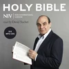 KNYGA Bookshop Complete NIV Audio Bible