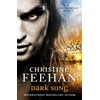 KNYGA Bookshop Dark Song