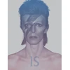 KNYGA Bookshop David Bowie Is