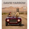 KNYGA Bookshop David Yarrow