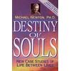 Destiny Of Souls Knyga Llewellyn