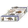KNYGA Bookshop Discover Dinosaurs