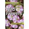 KNYGA Bookshop Discovering British Wild Flowers