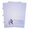 KNYGA Bookshop Dodo Pad Laminated Pouched Dividers