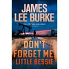 KNYGA Author Don't Forget Me, Little Bessie
