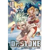 KNYGA Bookshop Dr. STONE, Vol. 10