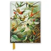 KNYGA Bookshop Ernst Haeckel: Hummingbirds (Foiled Pocket Journal)