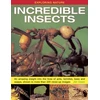 KNYGA Dr Jen Green Exploring Nature: Incredible Insects