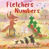 KNYGA Bookshop Rawlinson Julia Fletcher's Numbers