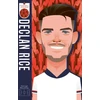 KNYGA Bookshop Maudsley George Football Legends: Declan Rice