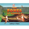 KNYGA Bookshop Foxes at Number 9