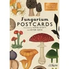 KNYGA Bookshop Fungarium Postcards