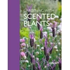 KNYGA Bookshop Gardening with Scented Plants
