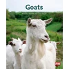 KNYGA Bookshop GOATS
