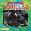 KNYGA Bookshop Gorillas