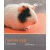 KNYGA Bookshop Guinea Pig - Pet Friendly