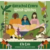 KNYGA Bookshop Gwrachod Cymru | Welsh Witches