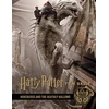 KNYGA Titan Books Harry Potter: The Film Vault - Volume 3: The Sorcerer's Stone, Horcruxes & The Deathly Hallows