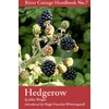 KNYGA Bookshop Hedgerow