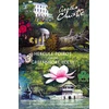 KNYGA Bookshop Hercule Poirot and the Greenshore Folly