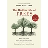 KNYGA Bookshop Hidden Life of Trees