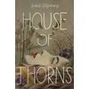 KNYGA Bookshop House of Thorns